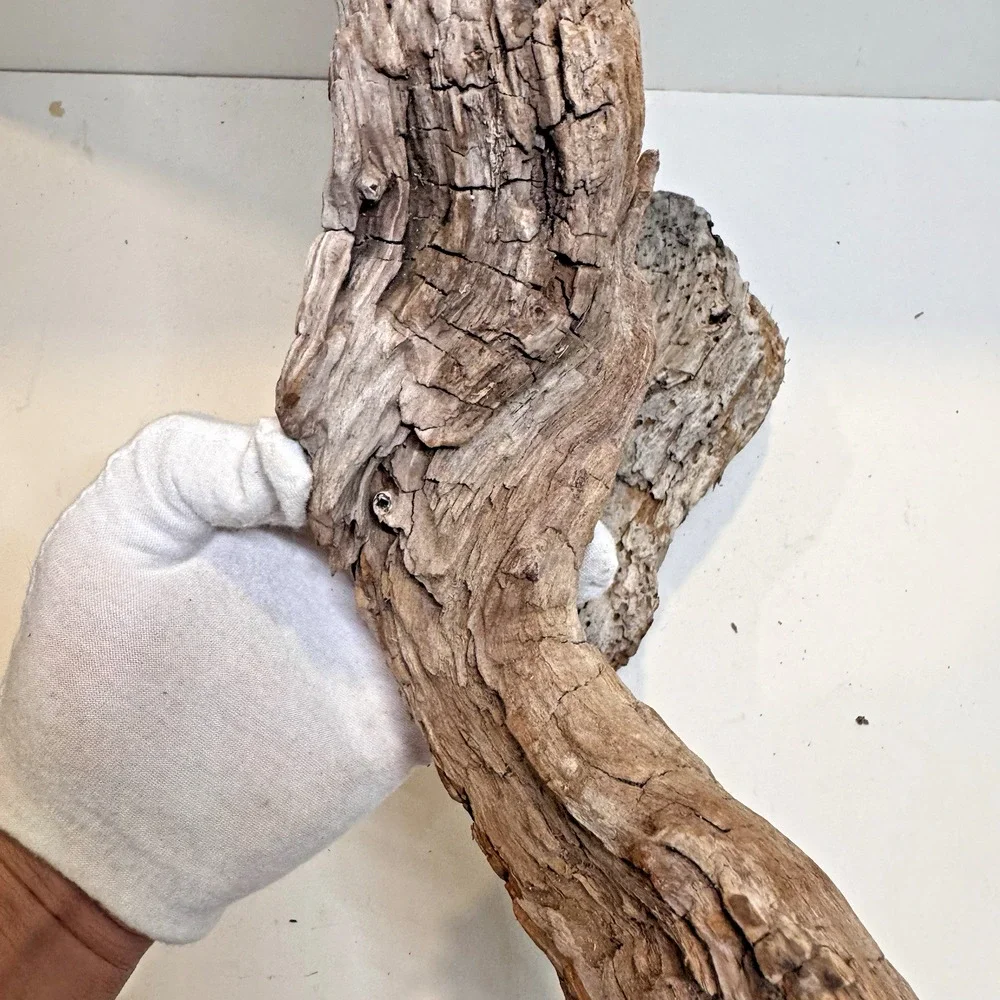 Set of 2 California Natural Driftwood Wavy Burlwood Terrarium Aquarium Craft